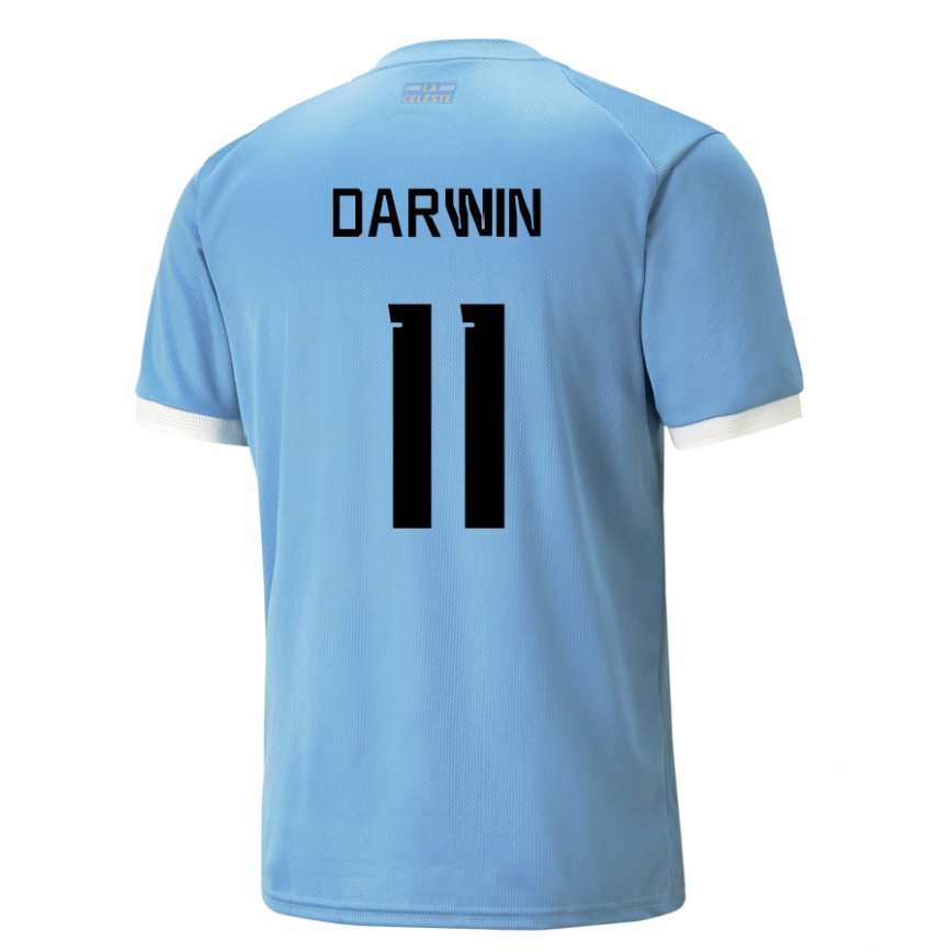 Niño Camiseta Uruguay Darwin Nunez #11 Azul 1ª Equipación 22-24 Argentina