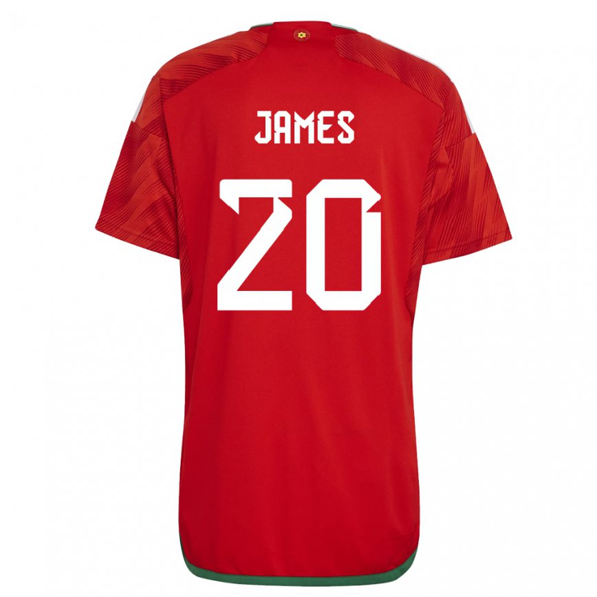 Hombre Camiseta Gales Daniel James #20 Rojo 1ª Equipación 22-24 Argentina