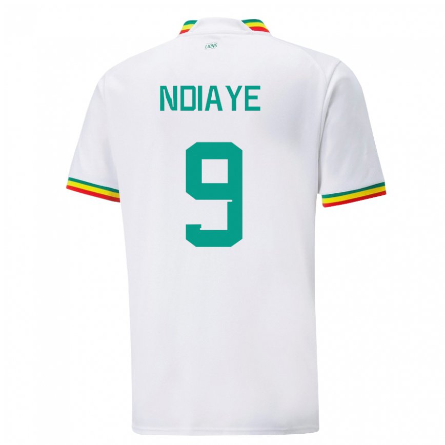 Niño Camiseta Senegal Nguenar Ndiaye #9 Blanco 1ª Equipación 22-24 Argentina