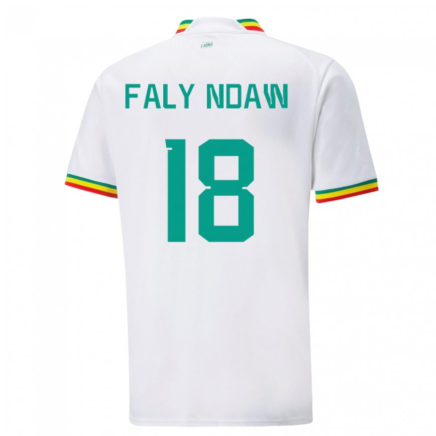 Niño Camiseta Senegal Faly Ndaw #18 Blanco 1ª Equipación 22-24 Argentina