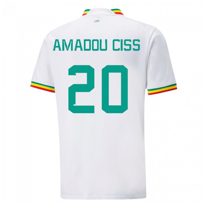 Niño Camiseta Senegal Amadou Ciss #20 Blanco 1ª Equipación 22-24 Argentina