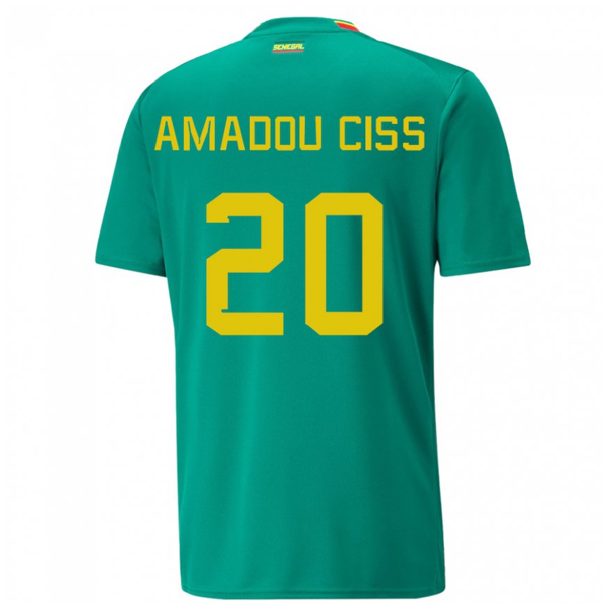 Niño Camiseta Senegal Amadou Ciss #20 Verde 2ª Equipación 22-24 Argentina