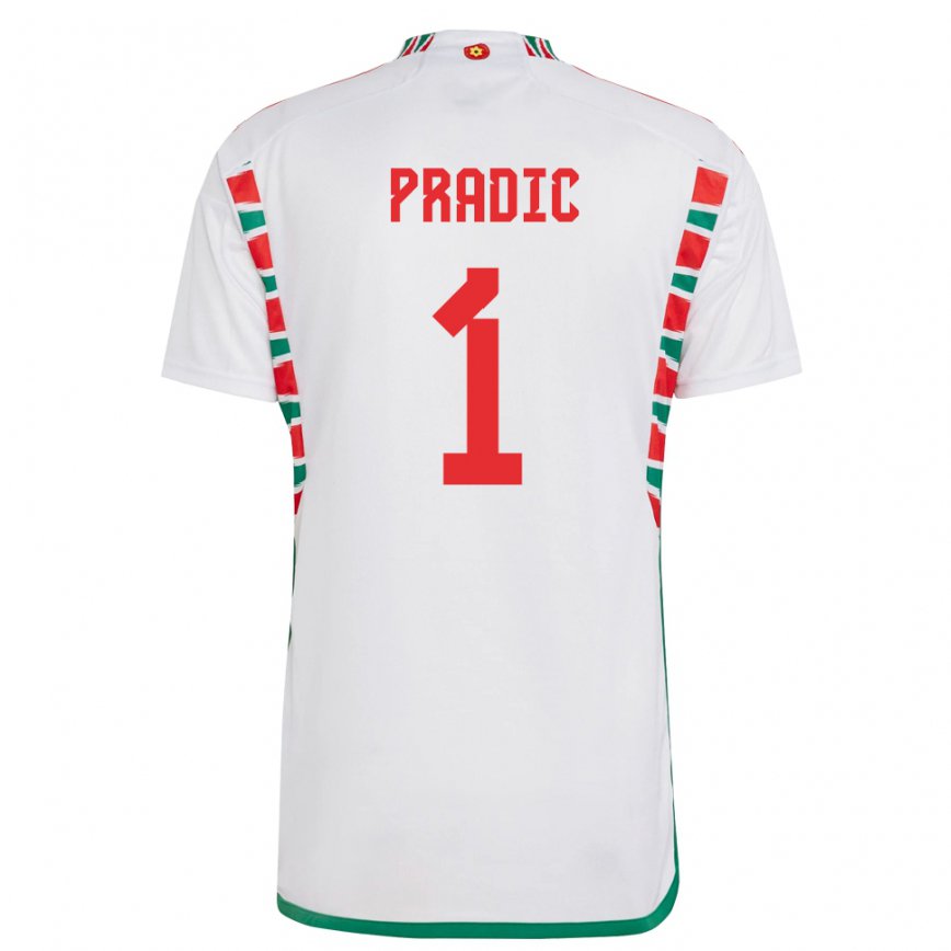 Niño Camiseta Gales James Pradic #1 Blanco 2ª Equipación 22-24 Argentina