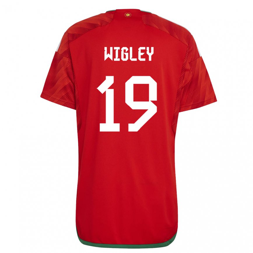 Hombre Camiseta Gales Morgan Wigley #19 Rojo 1ª Equipación 22-24 Argentina