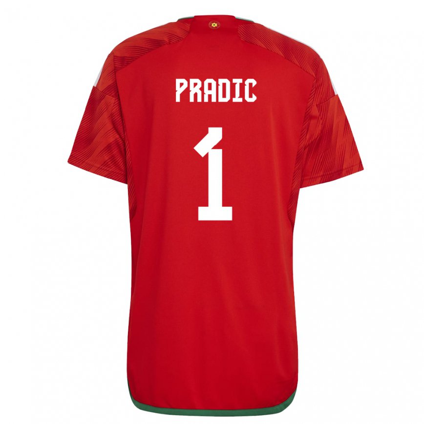 Hombre Camiseta Gales James Pradic #1 Rojo 1ª Equipación 22-24 Argentina