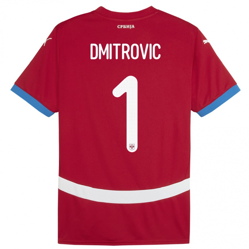 Niño Fútbol Camiseta Serbia Marko Dmitrovic #1 Rojo 1ª Equipación 24-26 Argentina