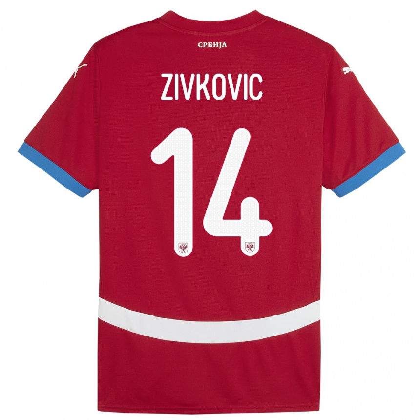 Niño Fútbol Camiseta Serbia Andrija Zivkovic #14 Rojo 1ª Equipación 24-26 Argentina