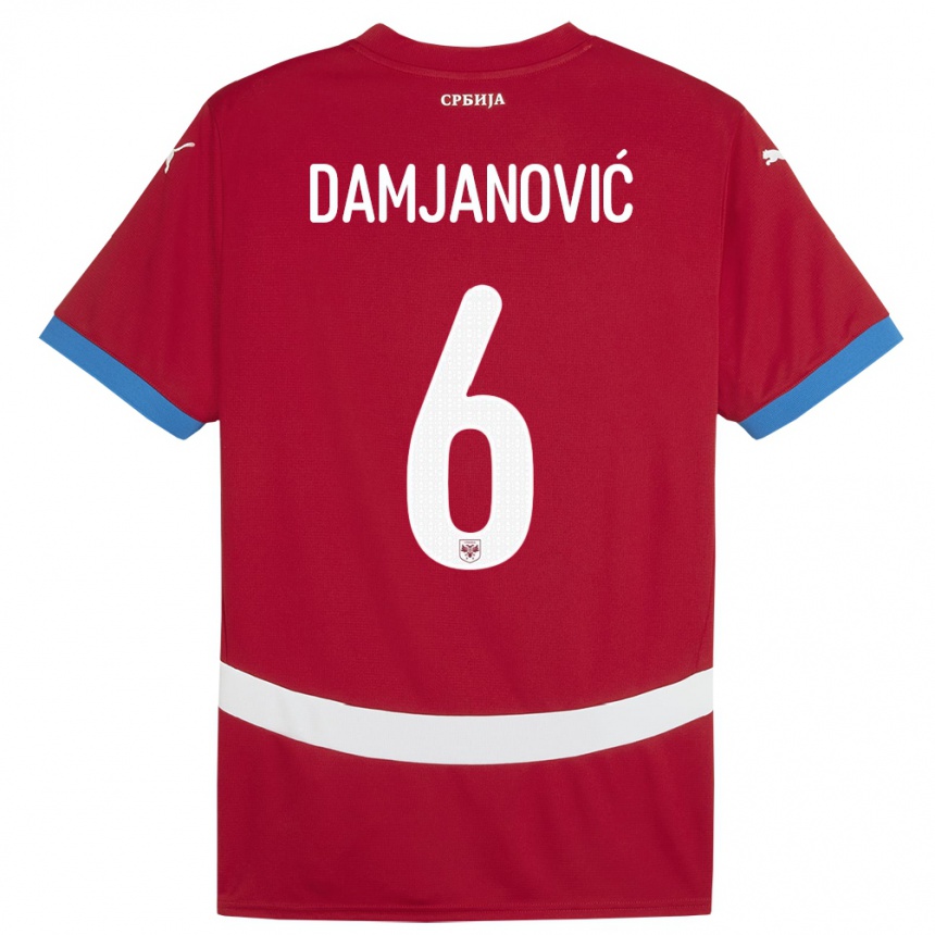 Niño Fútbol Camiseta Serbia Nevena Damjanovic #6 Rojo 1ª Equipación 24-26 Argentina