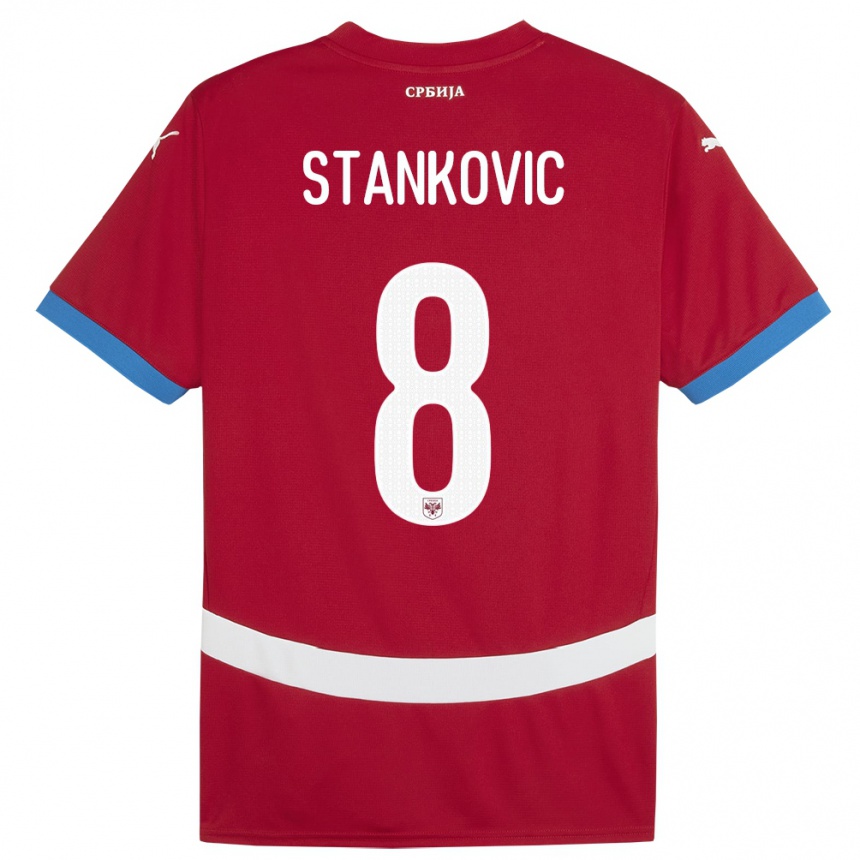 Niño Fútbol Camiseta Serbia Nikola Stankovic #8 Rojo 1ª Equipación 24-26 Argentina