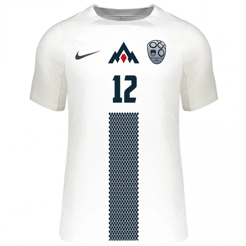 Niño Fútbol Camiseta Eslovenia Tanej Handanovic #12 Blanco 1ª Equipación 24-26 Argentina