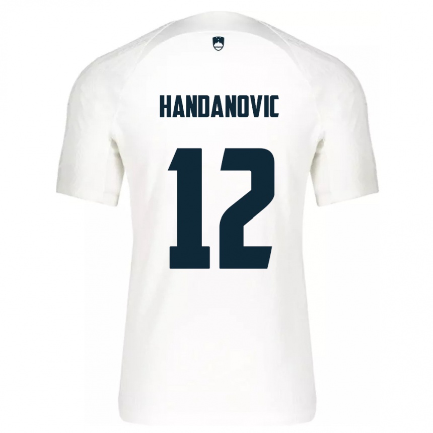 Niño Fútbol Camiseta Eslovenia Tanej Handanovic #12 Blanco 1ª Equipación 24-26 Argentina