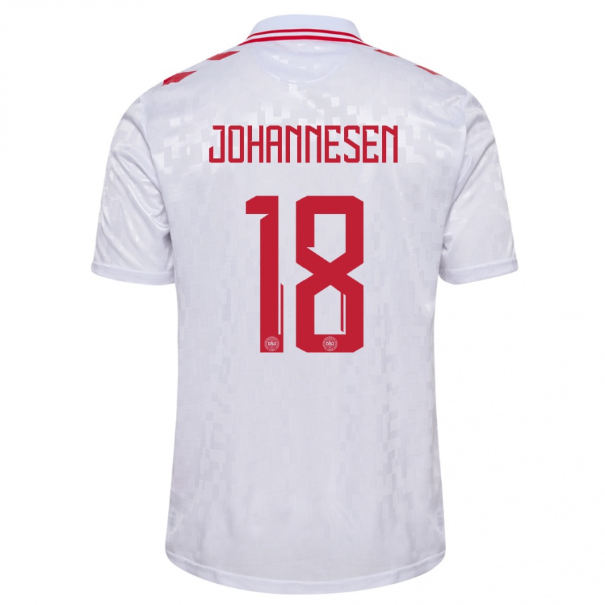 Niño Fútbol Camiseta Dinamarca Sofus Johannesen #18 Blanco 2ª Equipación 24-26 Argentina