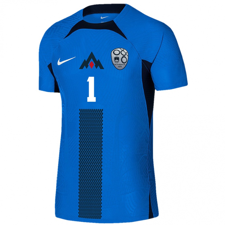 Niño Fútbol Camiseta Eslovenia Nik Deisinger #1 Azul 2ª Equipación 24-26 Argentina