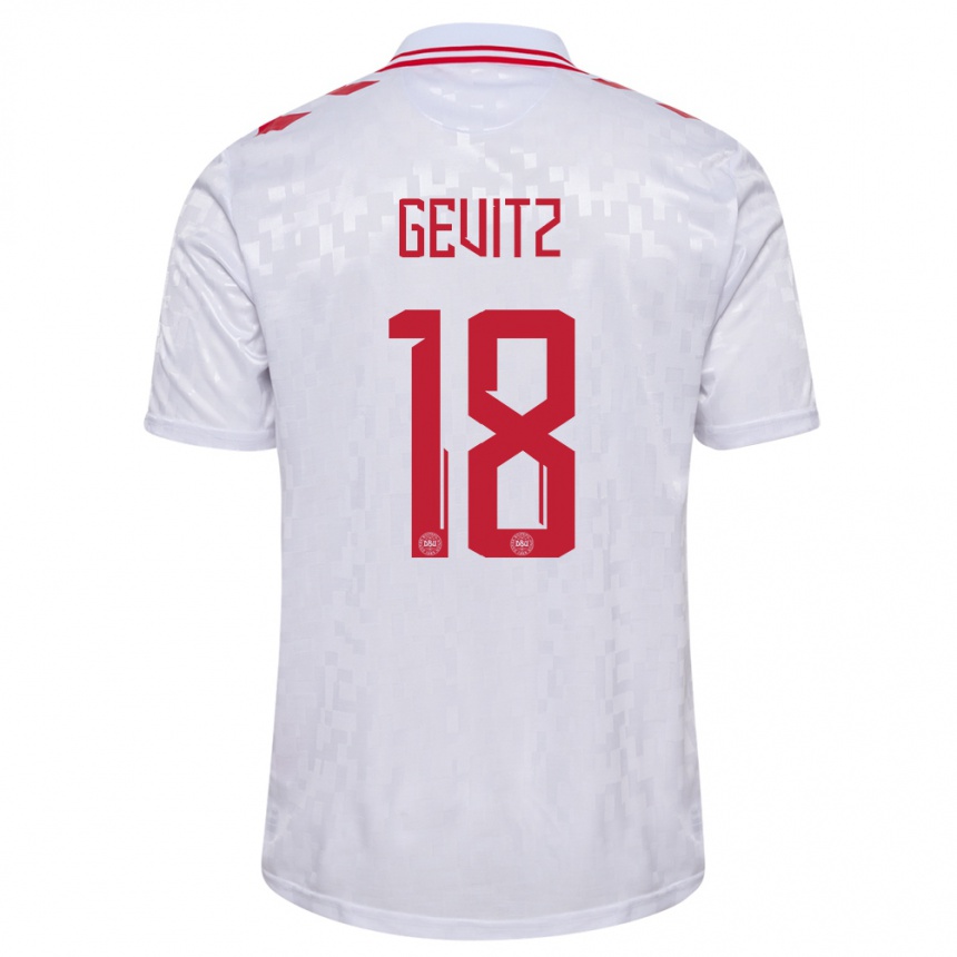 Hombre Fútbol Camiseta Dinamarca Luna Gevitz #18 Blanco 2ª Equipación 24-26 Argentina