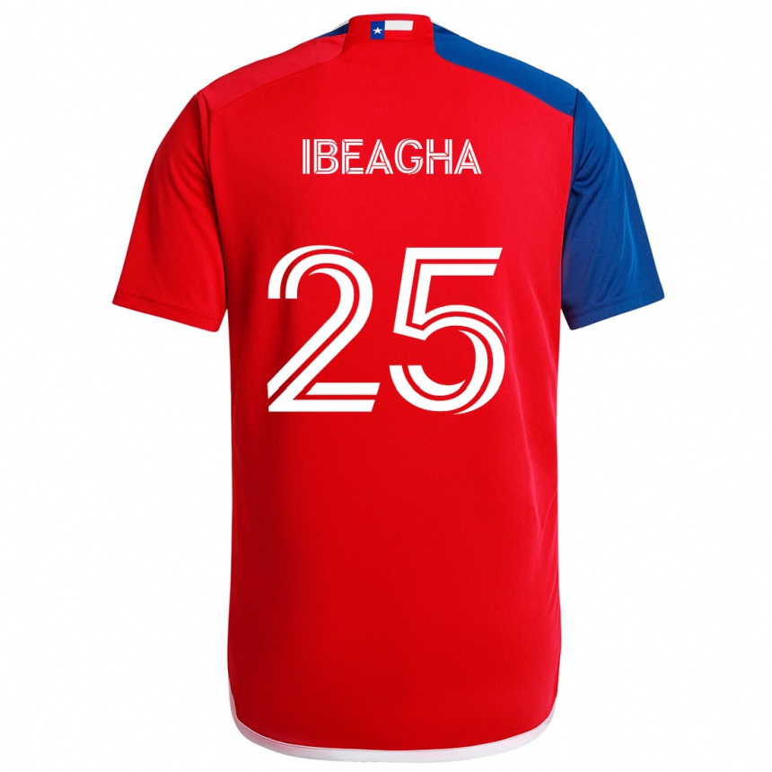 Niño Fútbol Camiseta Sebastien Ibeagha #25 Azul Rojo 1ª Equipación 2024/25 Argentina