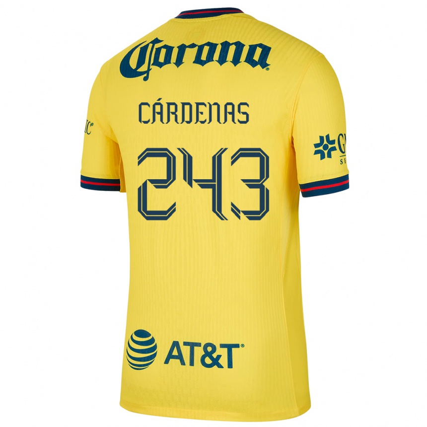 Mujer Fútbol Camiseta Alejandro Cárdenas #243 Amarillo Azul 1ª Equipación 2024/25 Argentina