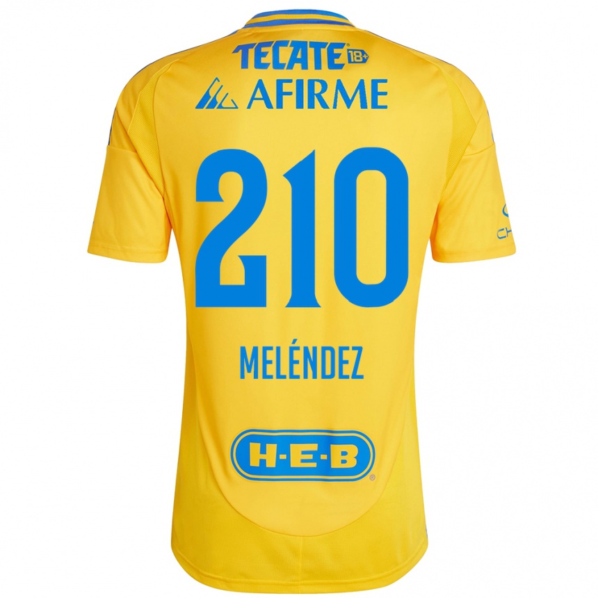 Niño Fútbol Camiseta Marcelo Meléndez #210 Oro Amarillo 1ª Equipación 2024/25 Argentina