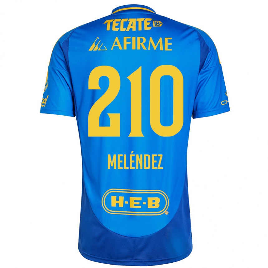 Niño Fútbol Camiseta Marcelo Meléndez #210 Azul Amarillo 2ª Equipación 2024/25 Argentina