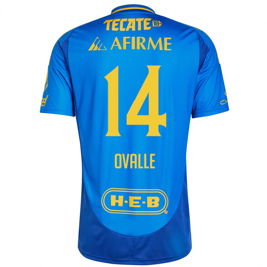 Hombre Fútbol Camiseta Lizbeth Ovalle #14 Azul Amarillo 2ª Equipación 2024/25 Argentina