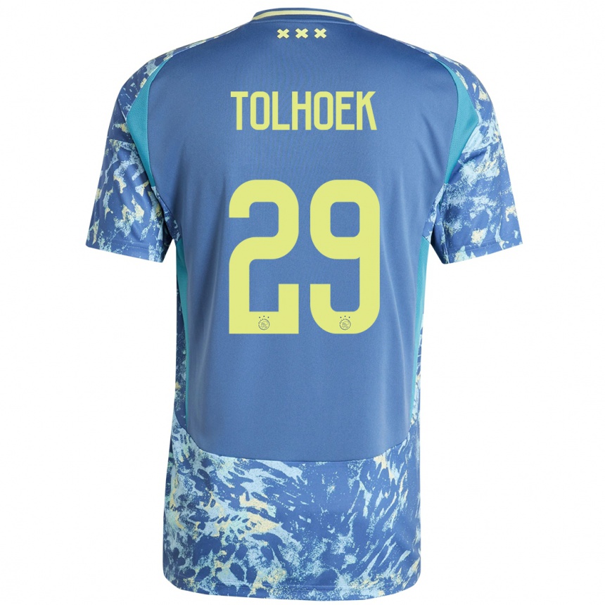 Niño Fútbol Camiseta Danique Tolhoek #29 Gris Azul Amarillo 2ª Equipación 2024/25 Argentina