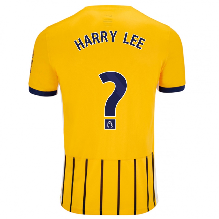 Niño Fútbol Camiseta Harry Lee #0 Dorado Azul Rayas 2ª Equipación 2024/25 Argentina