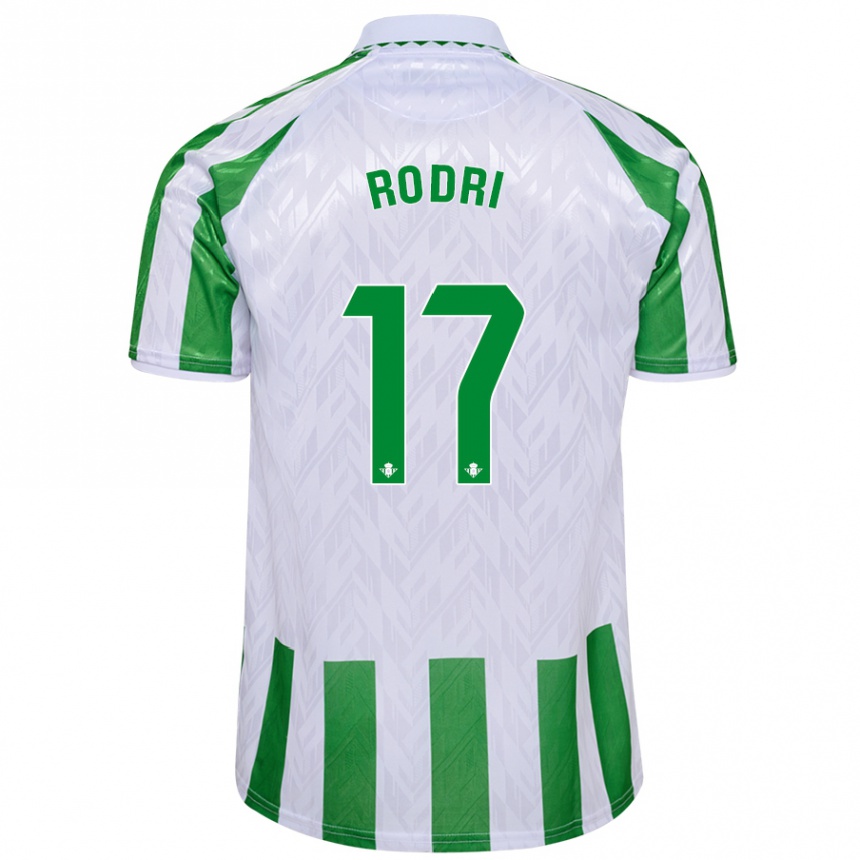 Hombre Fútbol Camiseta Rodri Sánchez #17 Verde Rayas Blancas 1ª Equipación 2024/25 Argentina