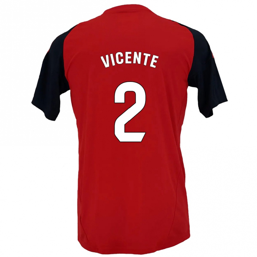 Niño Fútbol Camiseta David Vicente #2 Rojo Negro 1ª Equipación 2024/25 Argentina